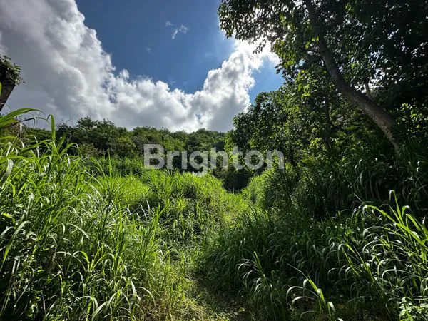image HARGA JAUH DI BAWAH PASARAN ! TANAH EKSKLUSIF 3,1 HEKTAR DENGAN VIEW NUSA PENIDA & NUSA LEMBONGAN DI KUSAMBA , KLUNGKUNG . BALI (7)