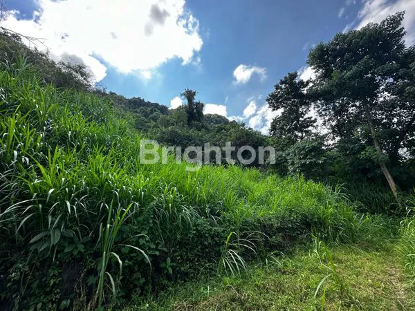 image HARGA JAUH DI BAWAH PASARAN ! TANAH EKSKLUSIF 3,1 HEKTAR DENGAN VIEW NUSA PENIDA & NUSA LEMBONGAN DI KUSAMBA , KLUNGKUNG . BALI (8)
