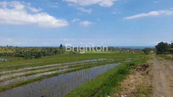 image TANAH, KECAMATAN SELEMADEG BARAT (3)