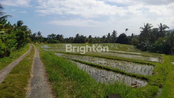 image TANAH, KECAMATAN SELEMADEG BARAT (2)