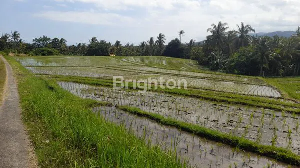 image TANAH, KECAMATAN SELEMADEG BARAT (5)