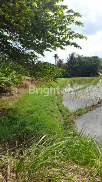 image TANAH, KECAMATAN SELEMADEG BARAT (4)