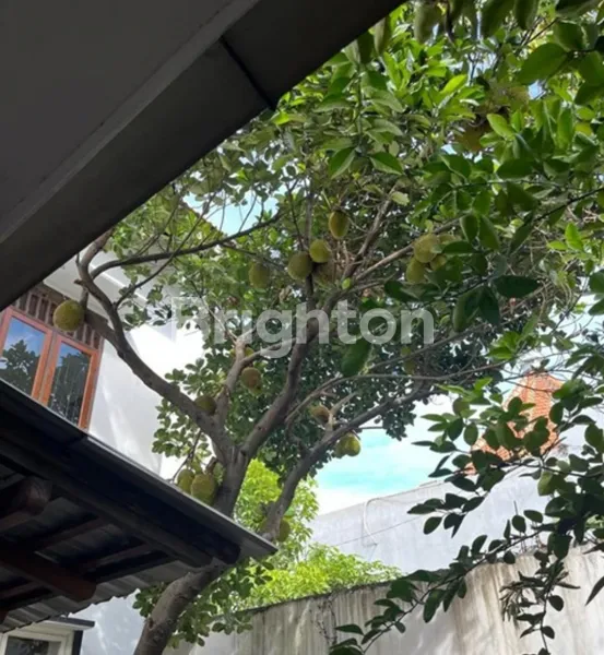 image SEMAMPIR TENGAH SIAP HUNI BARU RENOV DAN CAT ULANG, SELANGKAH RAYA MERR, BEBAS BANJIR  (7)