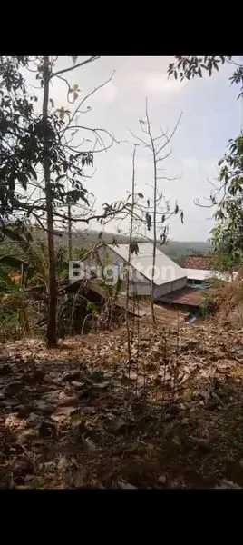 TANAH KERING YANG LUAS