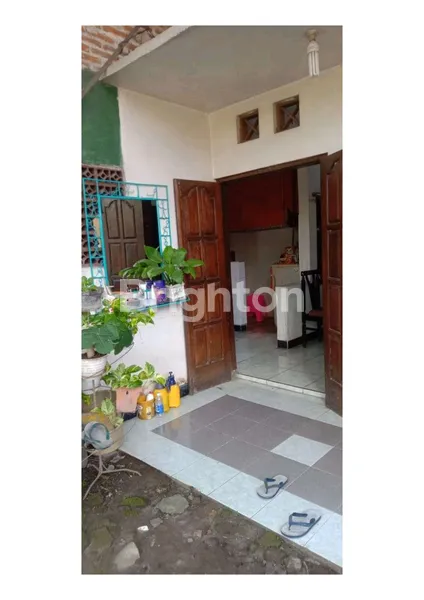 image RUMAH SIAP HUNI, NYAMAN DAN TENANG (6)