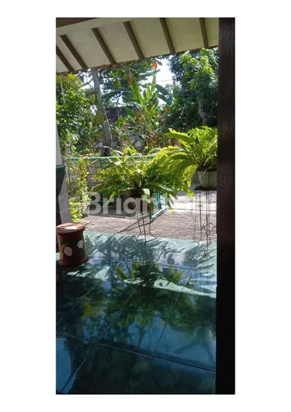 image RUMAH SIAP HUNI, NYAMAN DAN TENANG (7)