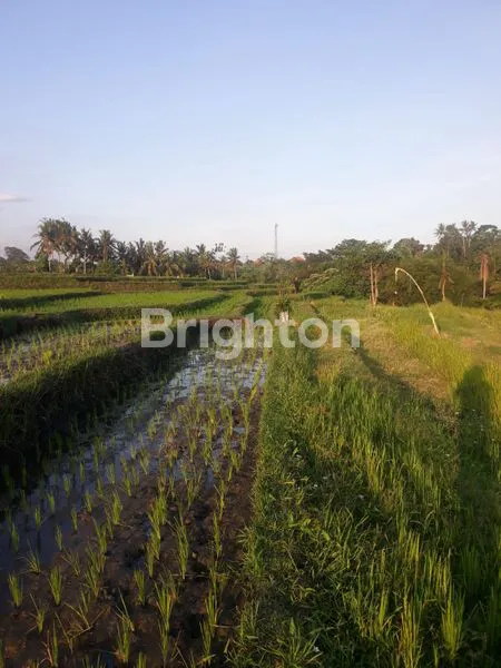 image TANAH, KECAMATAN KERAMBITAN (1)