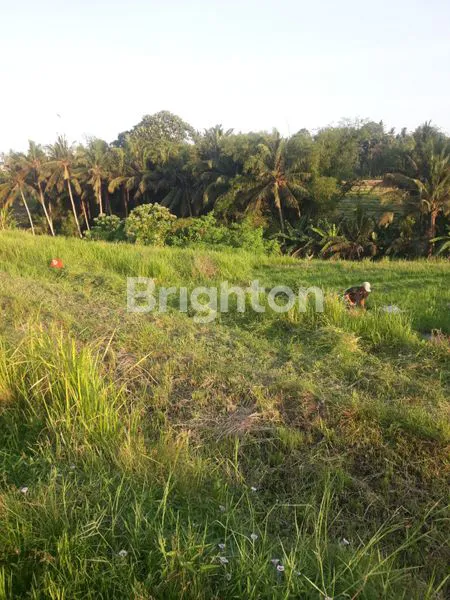 image TANAH, KECAMATAN KERAMBITAN (2)