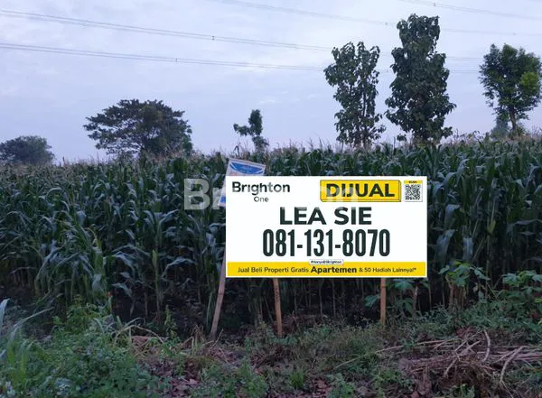 Gambar Property DIJUAL TANAH 437 M2  JALAN PROVINSI GURAH