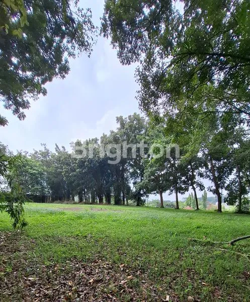 image LAHAN LUAS DENGAN VILA MEWAH (2)