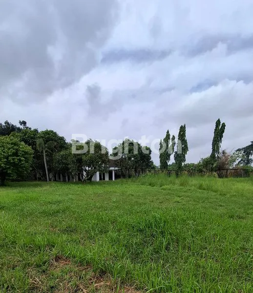 image LAHAN LUAS DENGAN VILA MEWAH (3)