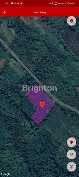 image TANAH PAKISAJI (4)