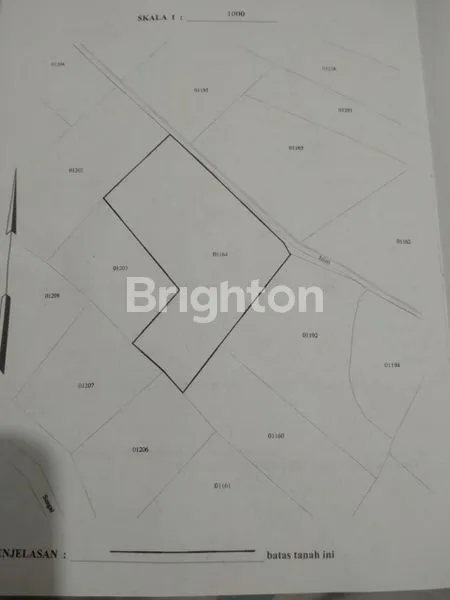 image TANAH PAKISAJI (5)