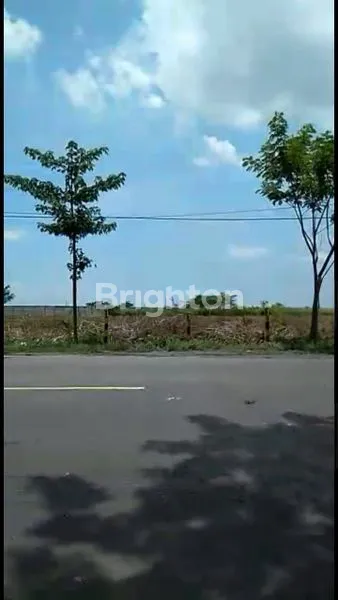 image TANAH DI WIDANG, LOKASI STRATEGIS MENUNGGU ANDA (3)