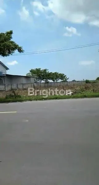 image TANAH DI WIDANG, LOKASI STRATEGIS MENUNGGU ANDA (4)