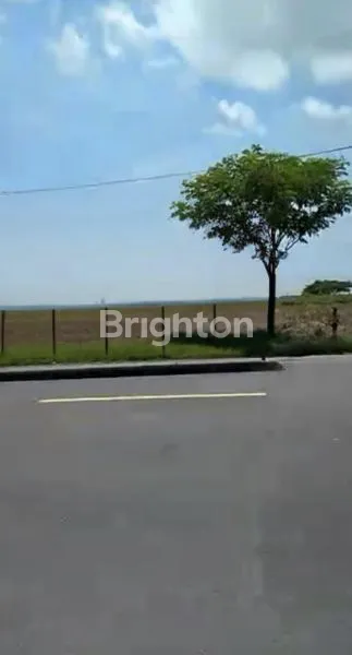 image TANAH DI WIDANG, LOKASI STRATEGIS MENUNGGU ANDA (5)