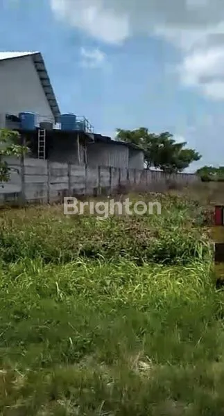 image TANAH DI WIDANG, LOKASI STRATEGIS MENUNGGU ANDA (6)