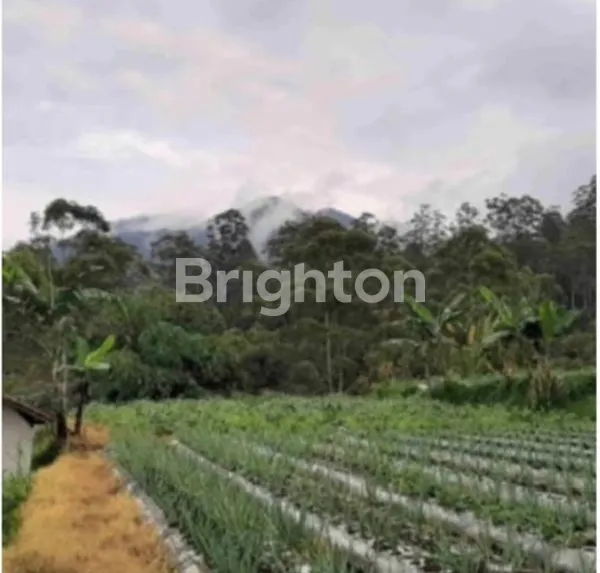 image LAHAN DI LINGKUNGAN UDARA SEJUK  COCOK UNTUK VILLA DI LEMBANG BANDUNG BARAT (3)