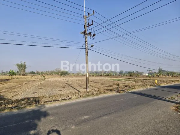 image TANAH KOMERSIAL 4000M² PINGGIR JALAN RAYA MULYOSAREJO GRESIK (2)