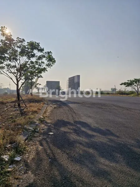 image TANAH KOMERSIAL 4000M² PINGGIR JALAN RAYA MULYOSAREJO GRESIK (1)