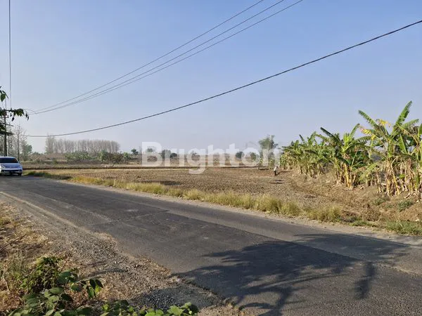 image TANAH KOMERSIAL 4000M² PINGGIR JALAN RAYA MULYOSAREJO GRESIK (3)