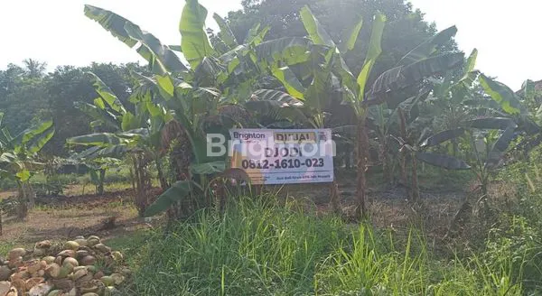 image TANAH STRATEGIS, POTENSIAL UNTUK WIRAUSAHA DI SETU BEKASI (6)