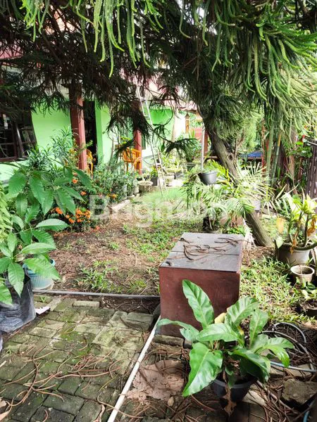 image  RUMAH SBY TIMUR (4)