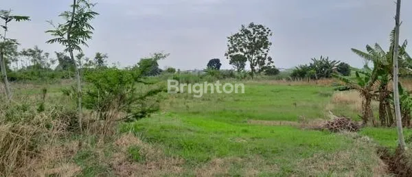 image TANAH PREMIUM 2,2 HA TEPI PANTURA DEKAT TOL WELERI KENDAL (1)