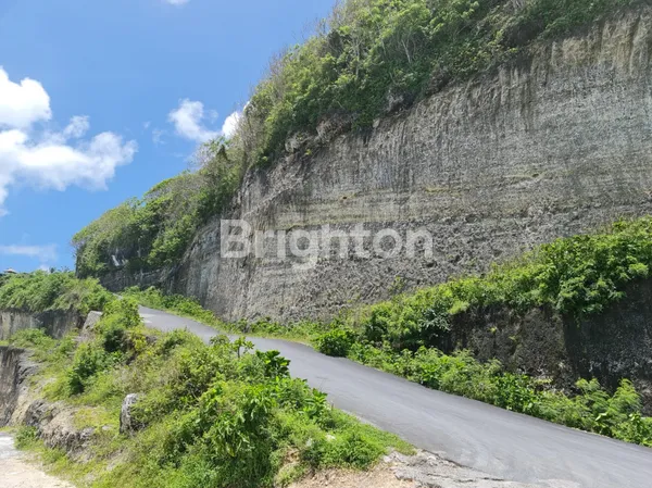 image 5,68 HEKTAR TANAH EKSKLUSIF DI UNGASAN – LOKASI STRATEGIS DEKAT MELASTI BEACH, COCOK UNTUK PROYEK BESAR & INVESTASI MASA DEPAN (3)