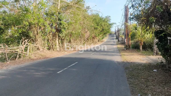 image PELUANG EMAS DI BALI CLIFF UNGASAN — TANAH 1,3 HA DI ZONA PARIWISATA, HANYA 4 MENIT DARI PANTAI! (2)