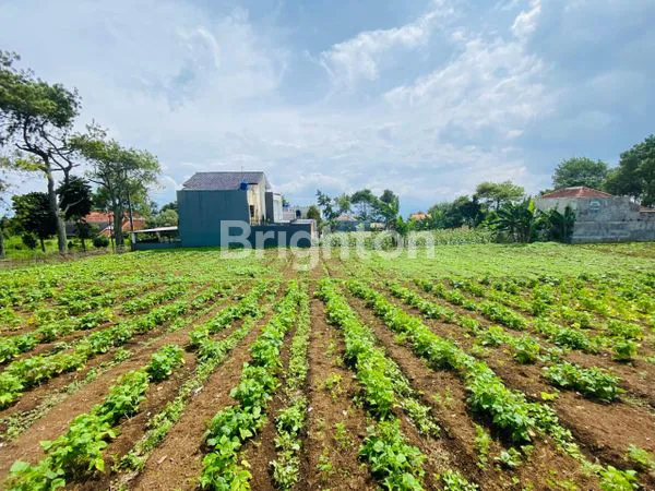 image KAVLING LOKASI KOMPLEK PERUMAHAN KATUMIRI CIHANJUANG (1)