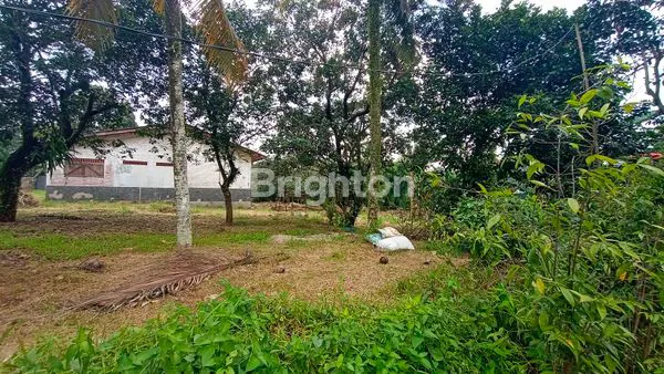 image DIJUAL CEPAT TANAH DI TAJURHALANG, DEKET PARUNG! (6)