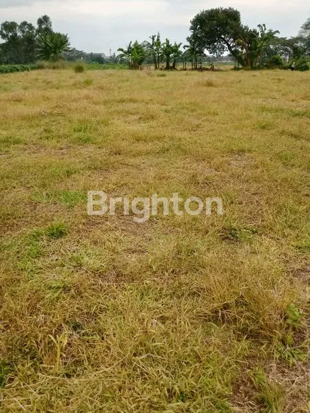 image TANAH DI PARUNG (1)