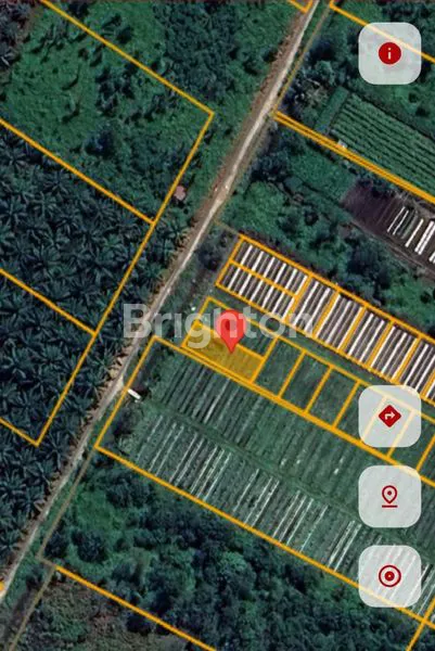 image TANAH LUAS 1.2 HA STRATEGIS DEKAT POLSEK RASAU JAYA - SHM (1)