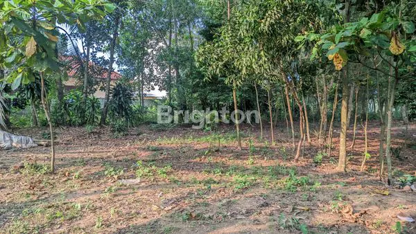 image MURAH! TANAH LUAS DI BOJONGMANGU COCOK UNTUK RUMAH/USAHA (3)