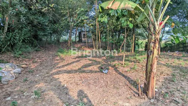 image MURAH! TANAH LUAS DI BOJONGMANGU COCOK UNTUK RUMAH/USAHA (1)