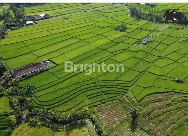 TANAH, KECAMATAN PENEBEL