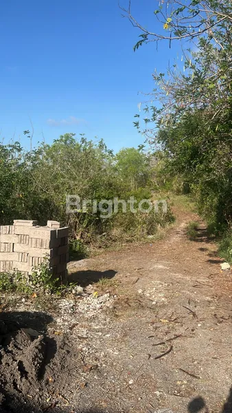 image TANAH PREMIUM DI LABUAN SAIT ULUWATU – 25 ARE, IDEAL UNTUK VILLA ATAU INVESTASI JANGKA PANJANG (1)