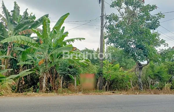 image TANAH SELUAS 1.901 M² LOKASI STRATEGIS PINGGIR JALAN RAYA (1)