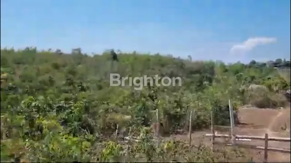 image TANAH STRATEGIS UNGASAN 73 ARE DI ZONA PARIWISATA – 5 MENIT KE PANTAI MELASTI, COCOK UNTUK VILLA & HOMESTAY (1)