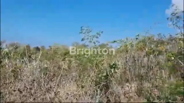 image TANAH STRATEGIS UNGASAN 73 ARE DI ZONA PARIWISATA – 5 MENIT KE PANTAI MELASTI, COCOK UNTUK VILLA & HOMESTAY (2)