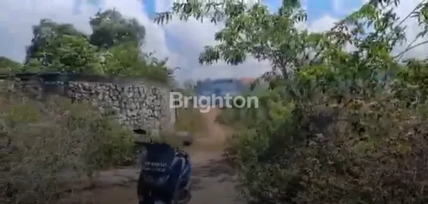 image TANAH STRATEGIS UNGASAN 73 ARE DI ZONA PARIWISATA – 5 MENIT KE PANTAI MELASTI, COCOK UNTUK VILLA & HOMESTAY (3)