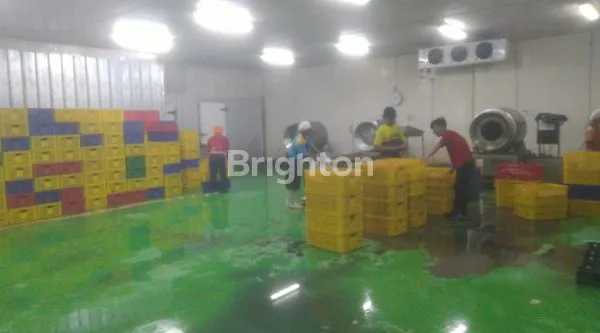 image DI JUAL EX PABRIK FRISIAN FLAG, CIRACAS. BOGOR (1)