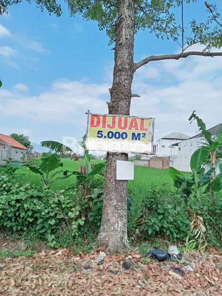 image TANAH PRODUKTIF 5100M² DI JALAN RAYA WALINI, COCOK UNTUK INDUSTRI (1)