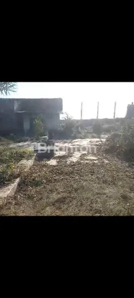 DIJUAL TANAH DAERAH SITUBONDO  KAPONGAN JAWA TIMUR. LANDANGAN DEKAT POM BENSIN.