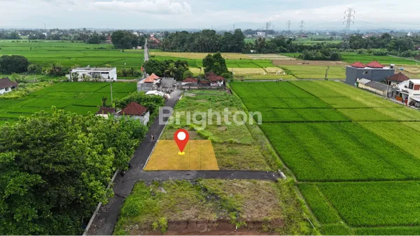 image TANAH LAHAN DEKAT PANTAI STRATEGIS DI KEDUNGU DENGAN HARGA SPESIAL! (2)