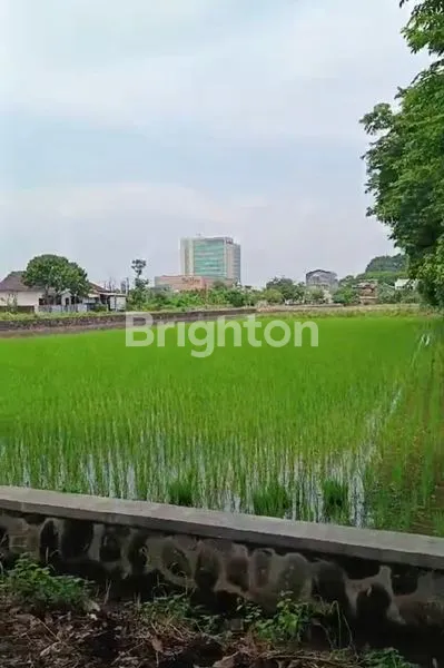 image TANAH SAWAH KERING STRATEGIS – SOLO (DEKAT MANAHAAN, BELAKANG HOTEL LORIN) (1)