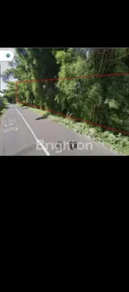 image TANAH PREMIUM 7940M² VIEW PEGUNUNGAN DI PRIGEN, COCOK VILLA/RESORT (2)