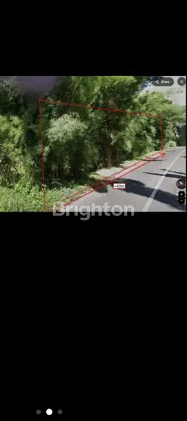 image TANAH PREMIUM 7940M² VIEW PEGUNUNGAN DI PRIGEN, COCOK VILLA/RESORT (1)