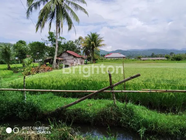 image TANAH SAWAH STRATEGIS 4146M² DI PAYAKUMBUH (2)